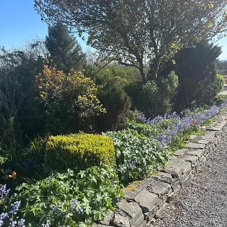 Ceol Na Coille Traditional